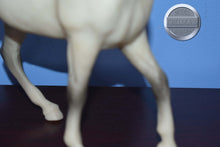 Load image into Gallery viewer, BODY-Sham Arabian Mold-Breyer Traditional