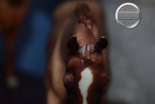 Load image into Gallery viewer, Plain Pixie-Cantering Welsh Pony Mold-Breyer Traditional