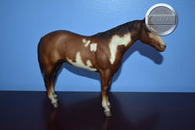 Load image into Gallery viewer, Overo Paint-Stud Spider Mold-Breyer Traditional