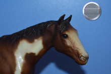 Load image into Gallery viewer, Overo Paint-Stud Spider Mold-Breyer Traditional