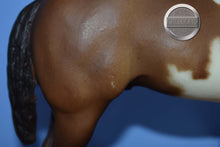 Load image into Gallery viewer, Overo Paint-Stud Spider Mold-Breyer Traditional