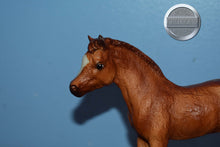 Load image into Gallery viewer, Bath Time Fun-FOAL ONLY-Phantom Wings Mold-Breyer Traditional