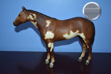 Load image into Gallery viewer, Overo Paint-Stud Spider Mold-Breyer Traditional