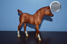 Load image into Gallery viewer, Bath Time Fun-FOAL ONLY-Phantom Wings Mold-Breyer Traditional