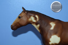 Load image into Gallery viewer, Overo Paint-Stud Spider Mold-Breyer Traditional