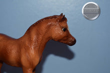 Load image into Gallery viewer, Bath Time Fun-FOAL ONLY-Phantom Wings Mold-Breyer Traditional