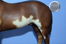 Load image into Gallery viewer, Overo Paint-Stud Spider Mold-Breyer Traditional