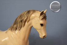 Load image into Gallery viewer, Family Arabian Stallion BODY-Family Arabian Stallion Mold-Breyer Traditional
