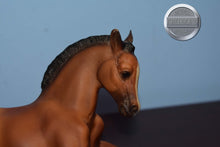 Load image into Gallery viewer, Buster-Lying Foal Mold-Breyer Traditional
