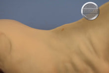 Load image into Gallery viewer, Rose Alabaster Stallion-JCP Exclusive-Stock Horse Stallion Mold-Breyer Traditional