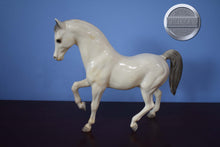 Load image into Gallery viewer, Family Arabian Stallion BODY-Family Arabian Stallion Mold-Breyer Traditional