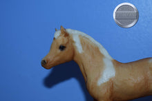 Load image into Gallery viewer, Phantom Wings-Phantom Wings Mold-Breyer Traditional