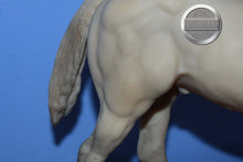 Load image into Gallery viewer, Rose Alabaster Stallion-JCP Exclusive-Stock Horse Stallion Mold-Breyer Traditional