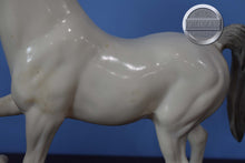 Load image into Gallery viewer, Family Arabian Stallion BODY-Family Arabian Stallion Mold-Breyer Traditional