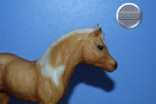 Load image into Gallery viewer, Phantom Wings-Phantom Wings Mold-Breyer Traditional