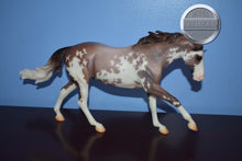 Load image into Gallery viewer, Seven Arts Surprise Sabino-Matte-Breyerfest Exclusive-Australian Stock Horse Mold-Breyer Traditional