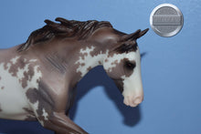 Load image into Gallery viewer, Seven Arts Surprise Sabino-Matte-Breyerfest Exclusive-Australian Stock Horse Mold-Breyer Traditional
