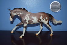 Load image into Gallery viewer, Seven Arts Surprise Sabino-Matte-Breyerfest Exclusive-Australian Stock Horse Mold-Breyer Traditional