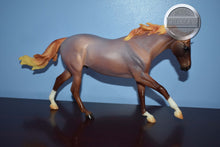 Load image into Gallery viewer, Seven Arts Surprise Roan-Matte-Breyerfest Exclusive-Australian Stock Horse Mold-Breyer Traditional