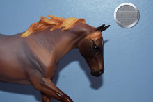 Load image into Gallery viewer, Seven Arts Surprise Roan-Matte-Breyerfest Exclusive-Australian Stock Horse Mold-Breyer Traditional
