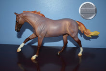 Load image into Gallery viewer, Seven Arts Surprise Roan-Matte-Breyerfest Exclusive-Australian Stock Horse Mold-Breyer Traditional
