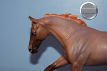 Load image into Gallery viewer, Seven Arts Surprise Roan-Matte-Breyerfest Exclusive-Australian Stock Horse Mold-Breyer Traditional