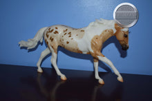 Load image into Gallery viewer, Seven Arts Surprise Pintaloosa-Matte-Breyerfest Exclusive-Australian Stock Horse Mold-Breyer Traditional
