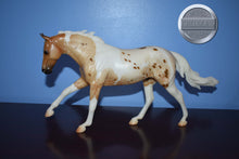 Load image into Gallery viewer, Seven Arts Surprise Pintaloosa-Matte-Breyerfest Exclusive-Australian Stock Horse Mold-Breyer Traditional