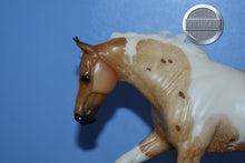 Load image into Gallery viewer, Seven Arts Surprise Pintaloosa-Matte-Breyerfest Exclusive-Australian Stock Horse Mold-Breyer Traditional