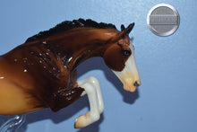 Load image into Gallery viewer, Jump &amp; Drive-Loose Mane-Breyerfest Exclusive-Bristol Mold-Breyer Traditional
