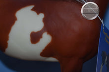 Load image into Gallery viewer, Northumberland Flowergirl-Clydesdale Mare Mold-Breyer Traditional