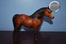 Load image into Gallery viewer, Shetland Pony-with Vintage Box-Shetland Pony Mold-Breyer Traditional