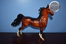 Load image into Gallery viewer, Blue Note-American Saddlebred Stallion Mold-Breyer Traditional