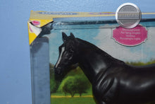 Load image into Gallery viewer, Black Thoroughbred-New in Box-Best of Show Thoroughbred Mold-Breyer Classic