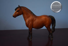 Load image into Gallery viewer, Shetland Pony-with Vintage Box-Shetland Pony Mold-Breyer Traditional