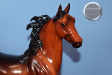 Load image into Gallery viewer, Blue Note-American Saddlebred Stallion Mold-Breyer Traditional
