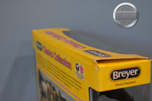 Load image into Gallery viewer, Black Thoroughbred-New in Box-Best of Show Thoroughbred Mold-Breyer Classic