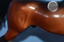 Load image into Gallery viewer, Blue Note-American Saddlebred Stallion Mold-Breyer Traditional
