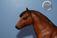 Load image into Gallery viewer, Shetland Pony-with Vintage Box-Shetland Pony Mold-Breyer Traditional