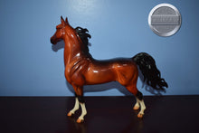 Load image into Gallery viewer, Blue Note-American Saddlebred Stallion Mold-Breyer Traditional
