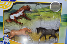 Load image into Gallery viewer, Wild at Heart Set-MISSING HORSE-New in Package-Breyer Stablemate