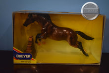 Load image into Gallery viewer, Jumping Jupiter-State Line Tack Exclusive-Jumping Horse Mold-Breyer Traditional