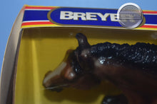Load image into Gallery viewer, Jumping Jupiter-State Line Tack Exclusive-Jumping Horse Mold-Breyer Traditional