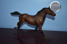 Load image into Gallery viewer, Bay Phar Lap-Phar Lap Mold-Breyer Traditional