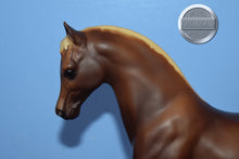 Load image into Gallery viewer, Liver Chestnut Arabian Stallion-Family Arabian Stallion Mold-Breyer Traditional