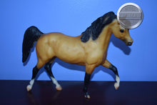 Load image into Gallery viewer, Sapphire-Toys R Us Exclusive-Black Stallion Mold-Breyer Traditional