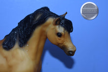 Load image into Gallery viewer, Sapphire-Toys R Us Exclusive-Black Stallion Mold-Breyer Traditional