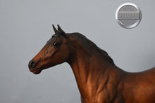 Load image into Gallery viewer, Bay Phar Lap-Phar Lap Mold-Breyer Traditional