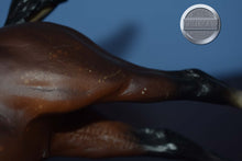 Load image into Gallery viewer, Bay Phar Lap-Phar Lap Mold-Breyer Traditional