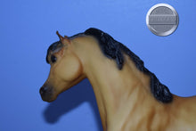 Load image into Gallery viewer, Sapphire-Toys R Us Exclusive-Black Stallion Mold-Breyer Traditional